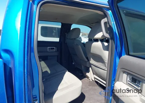 2009 Ford F-150 Fx4/King Ranch/Lariat/Platinum/Xl/Xlt z USA, uszkodzony, nr VIN 1FTPW14V49FB13310